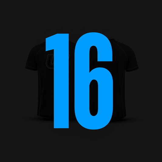 Camiseta 16