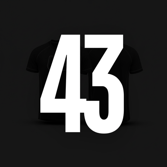 Camiseta 43
